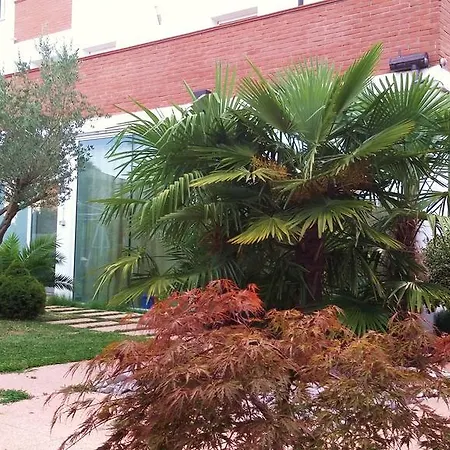 Dream Guest house 2*