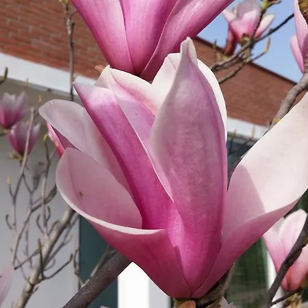 Dream ゲストハウス